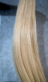 ASPEN-Pre-Colored Highlighted Raw Straight Bundles